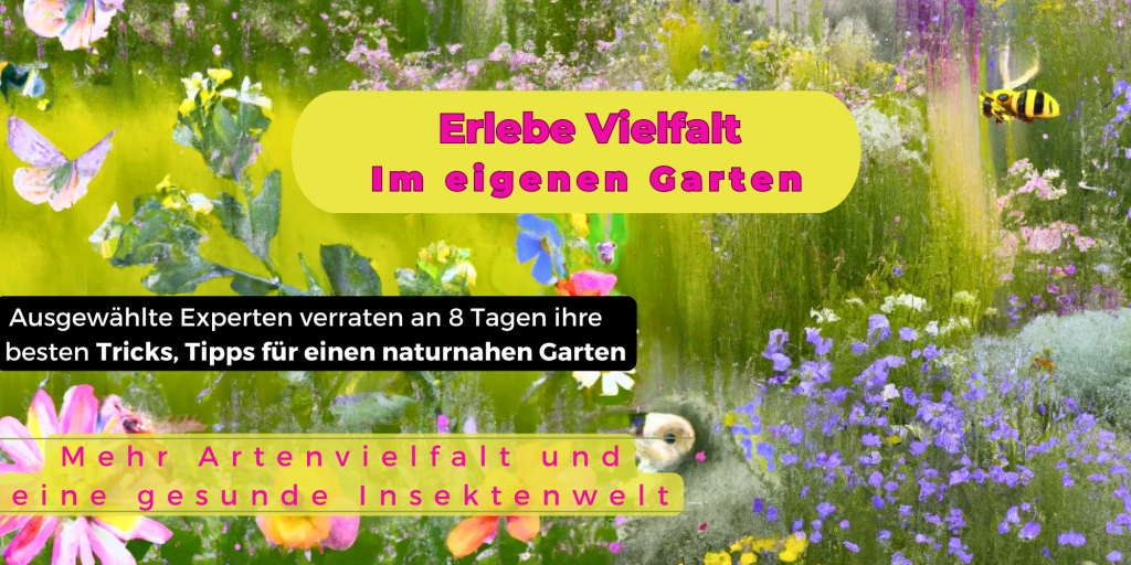 Banner Format 2 zu 1